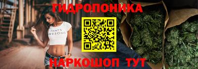 молекула духа Ливны